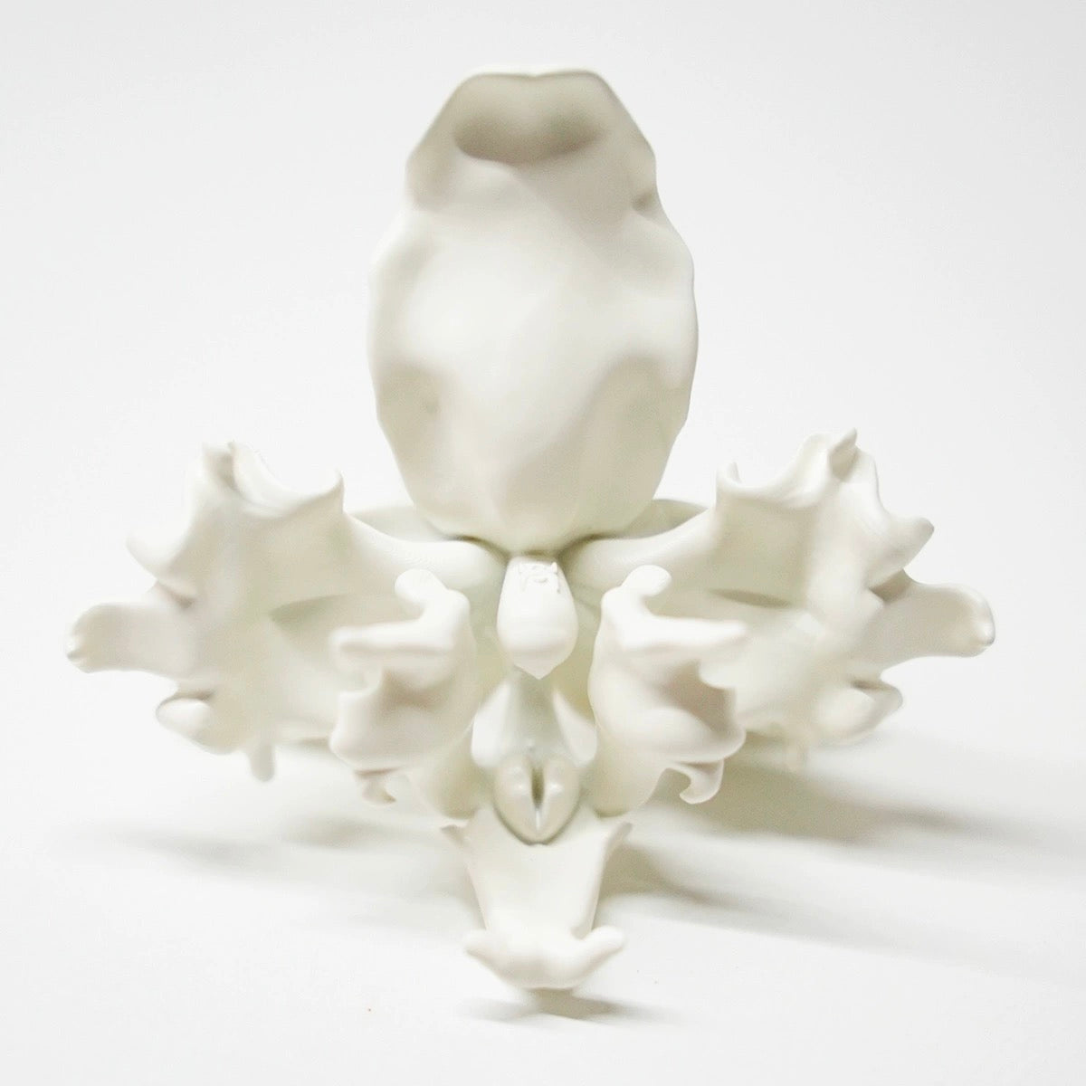 Orchid Ring
