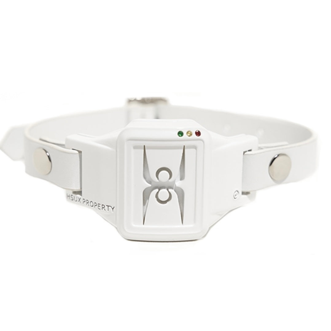 Anklet Choker